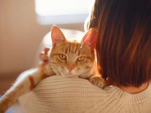The Healing Benefits of a Cat’s Purr The Art Of Sound Healing